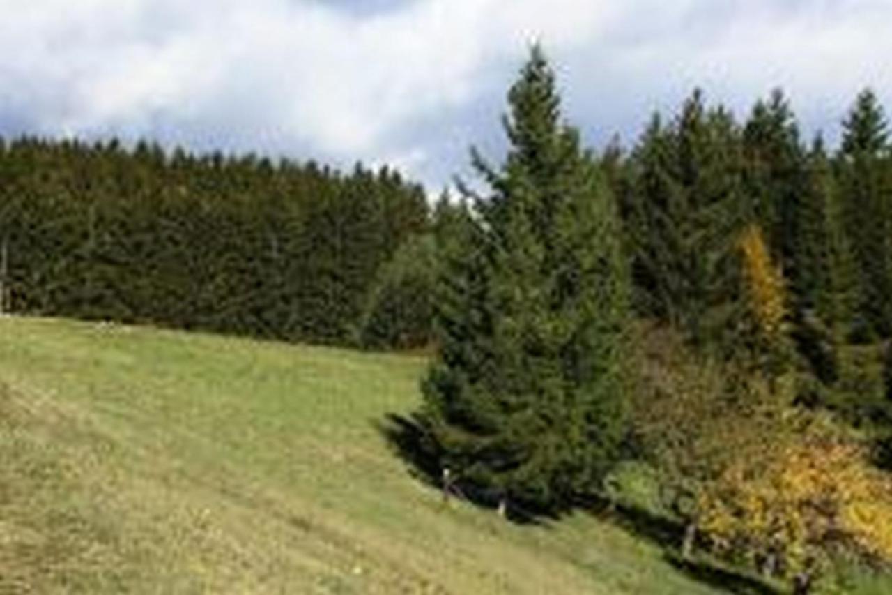 Landgasthof Hauser Immendingen Ngoại thất bức ảnh